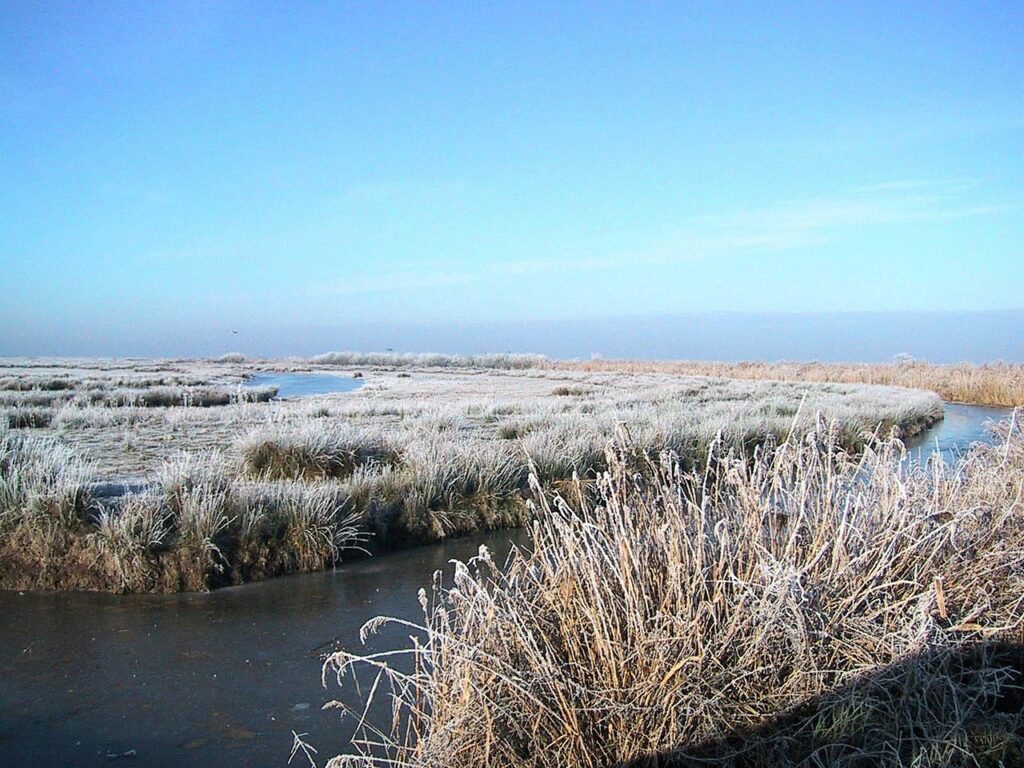 Site classé « Ancien Golfe de Saintonge »